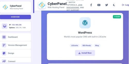 WordPress Hosting Plans